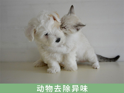 去除寵物異味，殺菌辟味防蟲