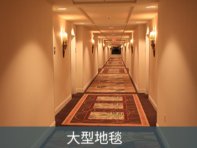 產(chǎn)品圖395x296（1張）