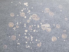 地毯黃斑清潔劑