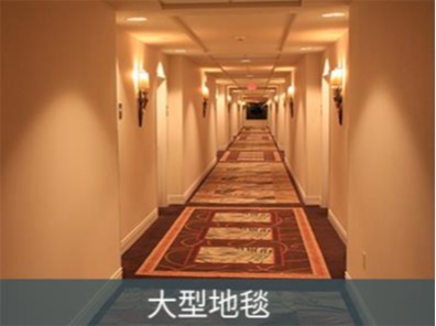 酒店客房地毯清潔劑