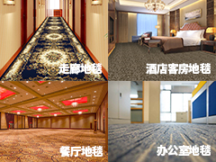 適用于各類地毯清洗