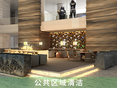 公共區(qū)域清潔