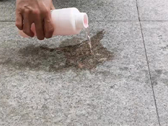 堿性配方