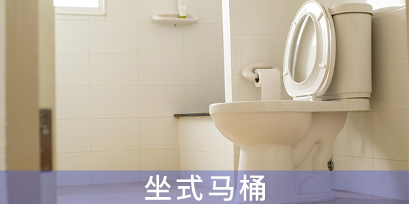坐式馬桶