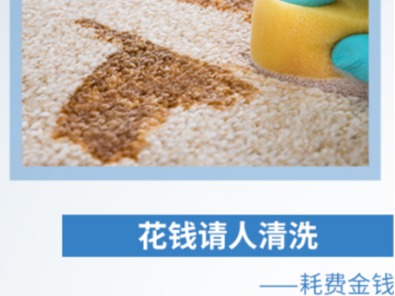 白大俠地毯起漬劑